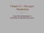 Chem 454: Biochemistry II