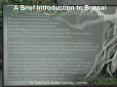 Introduction to Bonsai PowerPoint PPT Presentation
