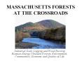 MASSACHUSETTS%20FORESTS%20AT%20THE%20CROSSROADS PowerPoint PPT Presentation