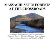 MASSACHUSETTS%20FORESTS%20AT%20THE%20CROSSROADS