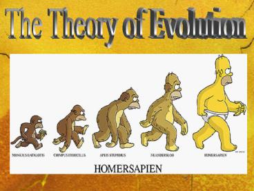 The Theory of Evolution presentation | free to view