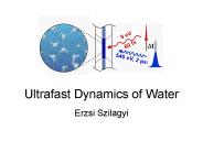 Ultrafast Dynamics of Water