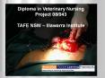 Diploma in Veterinary Nursing  Project 08/043  TAFE NSW  PowerPoint PPT Presentation