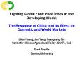 Fighting Global Food Price Rises in the Developing World: The Response of China and Its Effect on Do PowerPoint PPT Presentation