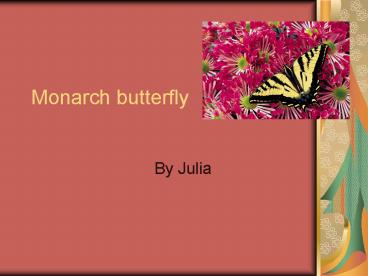 Monarch butterfly