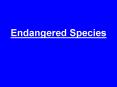Endangered Species PowerPoint PPT Presentation