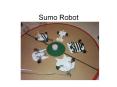 Sumo Robot PowerPoint PPT Presentation