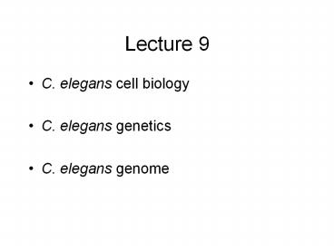hermaphordites True Hermaphroditism | Concise Medical Knowledge