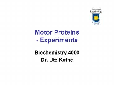 Motor Proteins - Experiments
