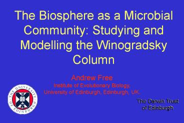 The Biosphere as a Microbial