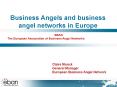 Business Angels and business angel networks in Europe PowerPoint PPT Presentation
