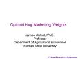 Optimal Hog Marketing Weights PowerPoint PPT Presentation