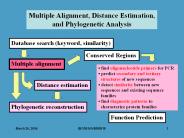Multiple Alignment, Distance Estimation,