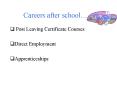 Careers after school'' PowerPoint PPT Presentation