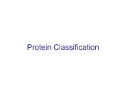 Protein Classification