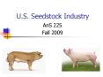 U'S' Seedstock Industry PowerPoint PPT Presentation