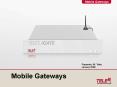 Mobile Gateways PowerPoint PPT Presentation