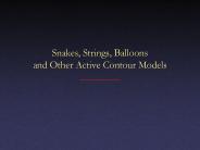 Snakes, Strings, Balloons and Other Active Contour Models