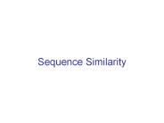 Sequence Similarity