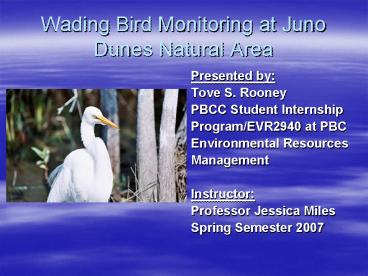 Wading Bird Monitoring at Juno Dunes Natural Area