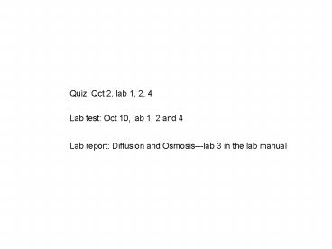 Quiz: Qct 2, lab 1, 2, 4