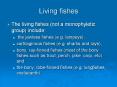 Living fishes PowerPoint PPT Presentation