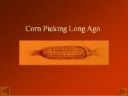 Corn Picking Long Ago