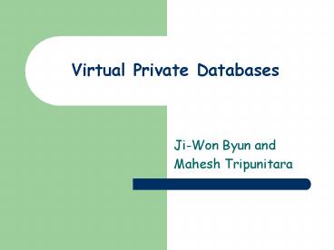 Virtual Private Databases