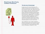 What is blood made up of