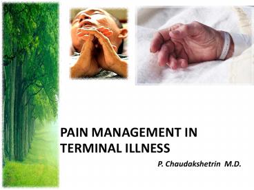 Pain Management in Terminal Illness