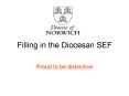 Filling in the Diocesan SEF PowerPoint PPT Presentation