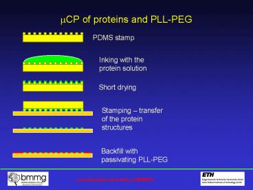 ?CP of proteins and PLL-PEG