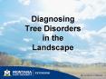 Diagnosing Tree Disorders in the Landscape PowerPoint PPT Presentation