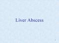 Liver Abscess PowerPoint PPT Presentation