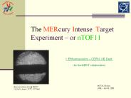 The MERcury Intense Target Experiment 