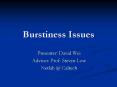 Burstiness Issues PowerPoint PPT Presentation