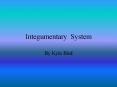 Integumentary System PowerPoint PPT Presentation