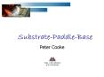 Substrate-Paddle-Base PowerPoint PPT Presentation