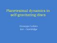 Planetesimal dynamics in self-gravitating discs PowerPoint PPT Presentation