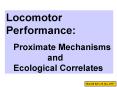 Locomotor Per formance: PowerPoint PPT Presentation