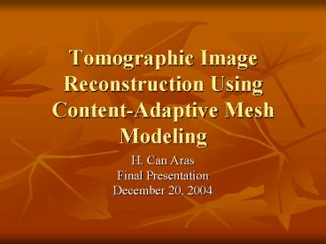 Tomographic Image Reconstruction Using ContentAdaptive Mesh Modeling