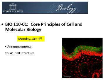 BIO 11001: Core Principles of Cell and Molecular Biology