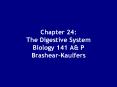 Chapter 24:  The Digestive System Biology 141 A PowerPoint PPT Presentation