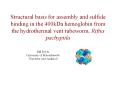 Structural basis for assembly and sulfide binding in the 400kDa hemoglobin from the hydrothermal vent tubeworm, Riftia pachyptila PowerPoint PPT Presentation