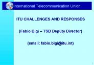International Telecommunication Union