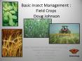 Basic Insect Management : Field Crops  Doug Johnson PowerPoint PPT Presentation