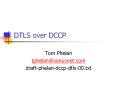 DTLS over DCCP PowerPoint PPT Presentation