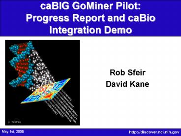 caBIG GoMiner Pilot: Progress Report and caBio Integration Demo