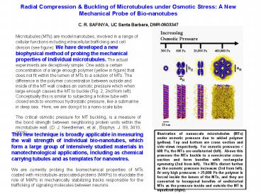 presentation player overlay