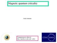 Magnetic quantum criticality